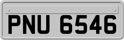 PNU6546