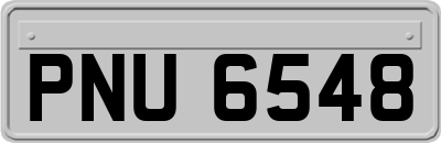 PNU6548