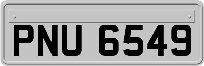 PNU6549