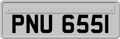 PNU6551