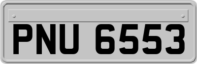 PNU6553