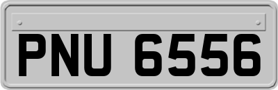 PNU6556