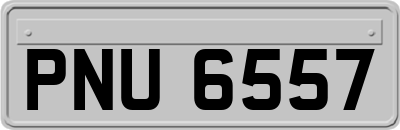 PNU6557
