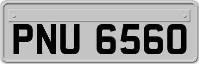 PNU6560