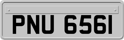 PNU6561