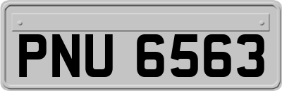 PNU6563