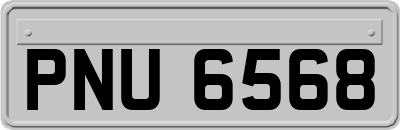 PNU6568