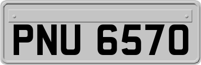 PNU6570