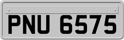 PNU6575