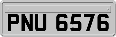 PNU6576