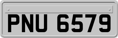 PNU6579