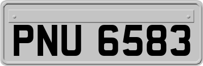PNU6583