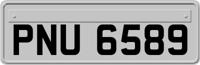 PNU6589
