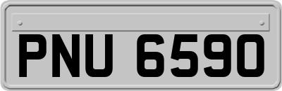 PNU6590