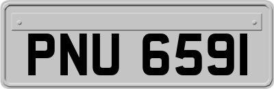 PNU6591