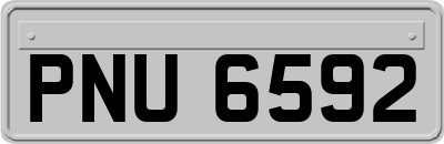 PNU6592