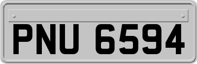 PNU6594