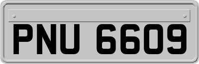PNU6609