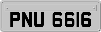 PNU6616