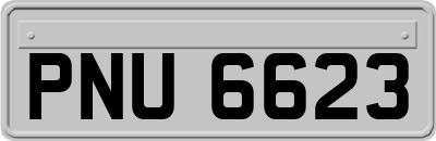 PNU6623