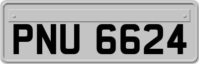 PNU6624