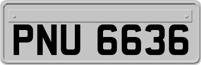 PNU6636