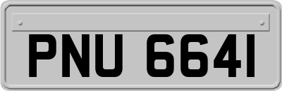 PNU6641