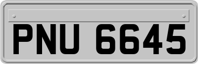 PNU6645