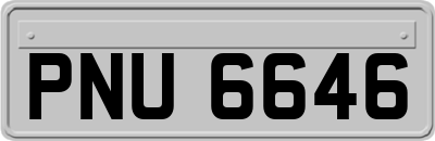 PNU6646