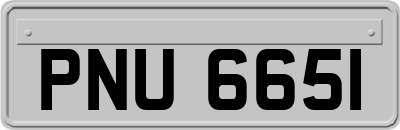 PNU6651