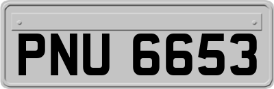 PNU6653