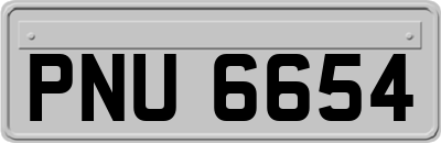 PNU6654