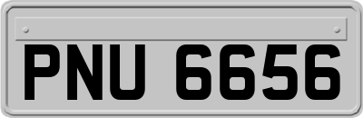PNU6656