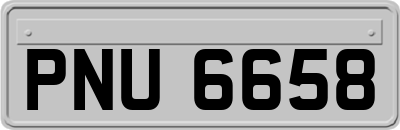 PNU6658