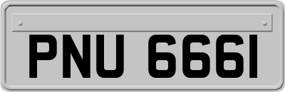 PNU6661