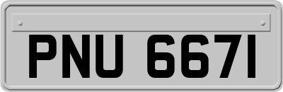 PNU6671