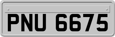PNU6675