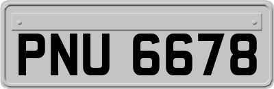 PNU6678