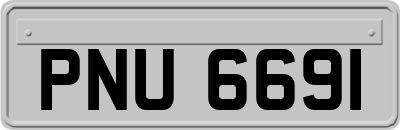 PNU6691