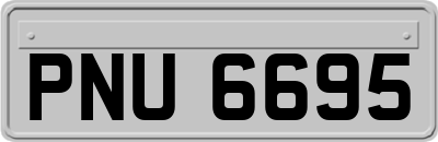 PNU6695