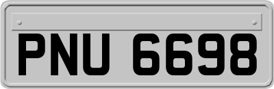 PNU6698