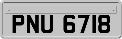 PNU6718