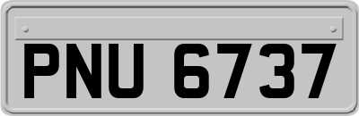 PNU6737