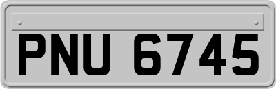 PNU6745
