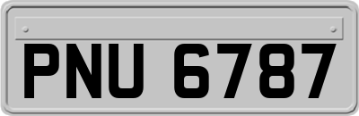 PNU6787