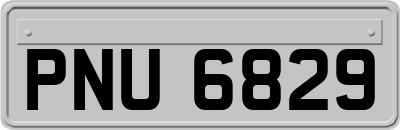 PNU6829