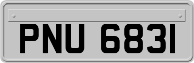 PNU6831