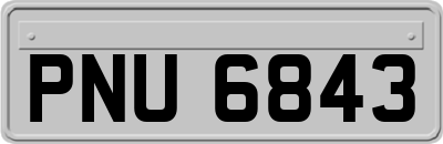 PNU6843