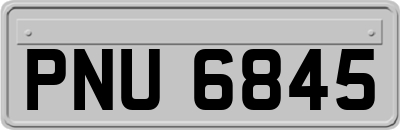 PNU6845