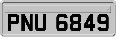 PNU6849